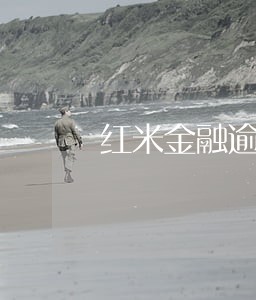 红米金融逾期 红米金融逾期