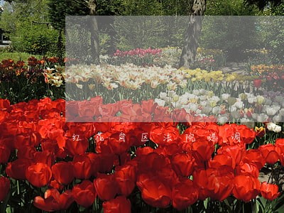 红花岗区法院选调 红花岗区法院选调