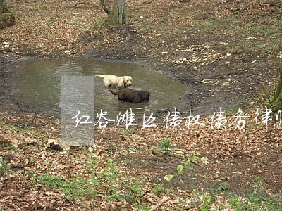 红谷滩区债权债务律师介绍 红谷滩区债权债务律师介绍