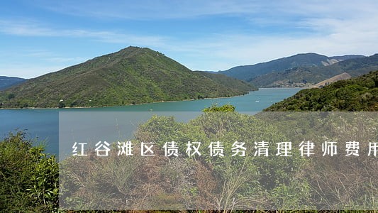红谷滩区债权债务清理律师费用 红谷滩区债权债务清理律师费用
