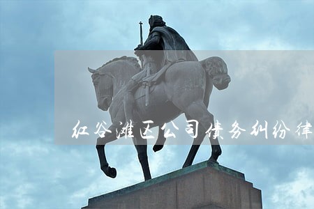 红谷滩区公司债务纠纷律师哪个好 红谷滩区公司债务纠纷律师哪个好