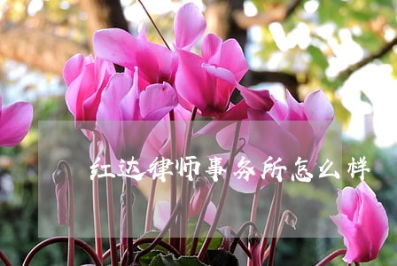 红达律师事务所怎么样