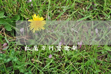 红魔方网贷逾期 红魔方网贷逾期