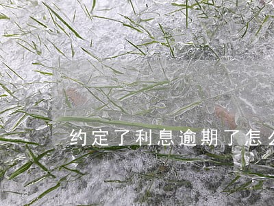 约定了利息逾期了怎么办 约定了利息逾期了怎么办