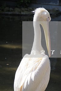 约定了利息逾期利息和违约金 约定了利息逾期利息和违约金