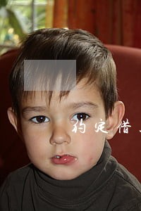 约定借款利率逾期未还 约定借款利率逾期未还