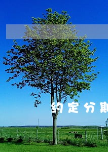 约定分期付款逾期付款利息怎么算 约定分期付款逾期付款利息怎么算