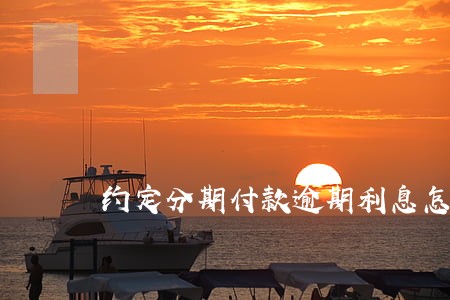 约定分期付款逾期利息怎么算