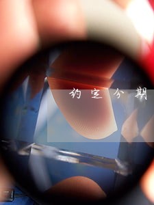 约定分期还款的逾期利息计算 约定分期还款的逾期利息计算