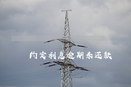 约定利息逾期未还款 约定利息逾期未还款
