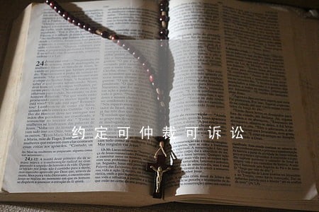 约定可仲裁可诉讼