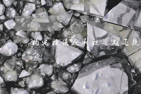 约定担保人承担逾期还款利息 约定担保人承担逾期还款利息