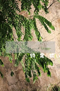 约定状态显示逾期完成