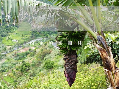 约定的逾期付款利率不得高于 约定的逾期付款利率不得高于
