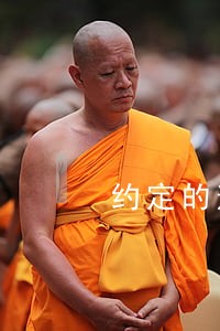 约定的逾期付款违约金过低 约定的逾期付款违约金过低