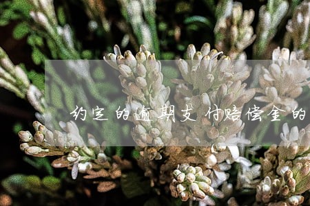 约定的逾期支付赔偿金的违约金 约定的逾期支付赔偿金的违约金