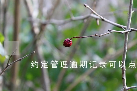 约定管理逾期记录可以点删除 约定管理逾期记录可以点删除