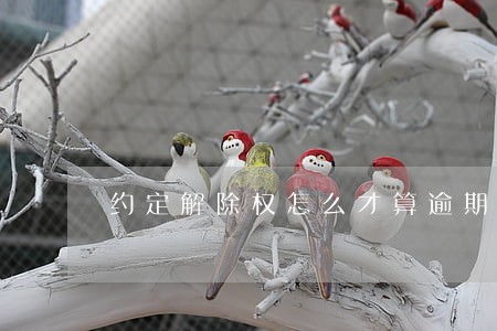 约定解除权怎么才算逾期 约定解除权怎么才算逾期