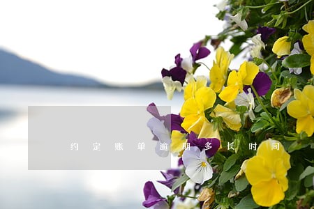 约定账单逾期多长时间 约定账单逾期多长时间