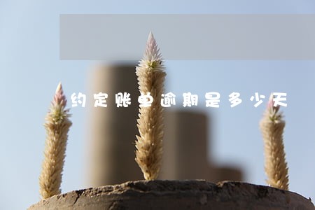 约定账单逾期是多少天 约定账单逾期是多少天
