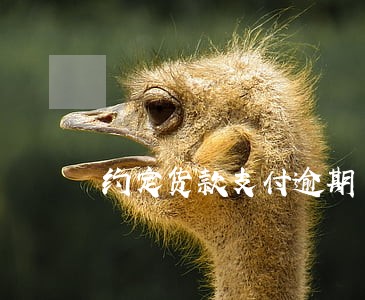 约定货款支付逾期 约定货款支付逾期
