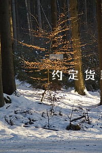 约定货款逾期利息的 约定货款逾期利息的