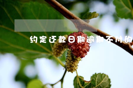 约定还款日期逾期不付的法律规定 约定还款日期逾期不付的法律规定