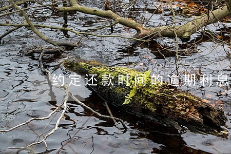 约定还款时间的逾期利息法条 约定还款时间的逾期利息法条