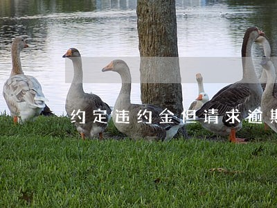 约定违约金但请求逾期利息 约定违约金但请求逾期利息