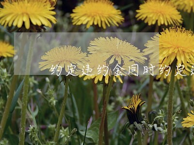 约定违约金同时约定逾期利息 约定违约金同时约定逾期利息