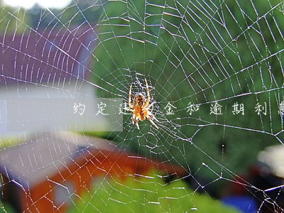 约定违约金和逾期利息谁优先 约定违约金和逾期利息谁优先