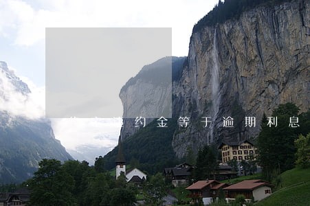 约定违约金等于逾期利息吗 约定违约金等于逾期利息吗