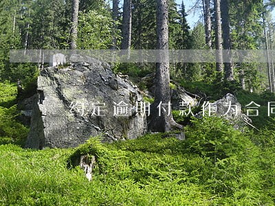 约定逾期付款作为合同条件 约定逾期付款作为合同条件