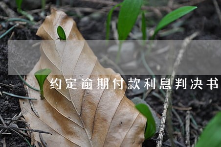 约定逾期付款利息判决书 约定逾期付款利息判决书