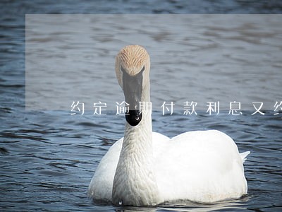 约定逾期付款利息又约定违约金 约定逾期付款利息又约定违约金