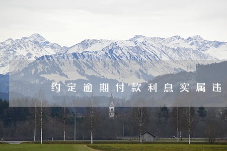 约定逾期付款利息实属违约金 约定逾期付款利息实属违约金