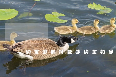 约定逾期付款违约金如何叙述 约定逾期付款违约金如何叙述