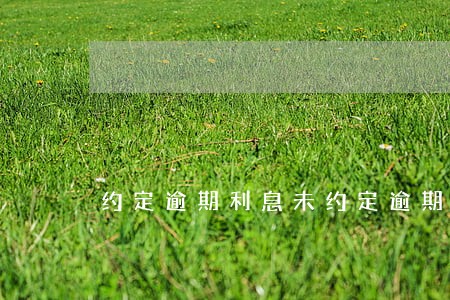 约定逾期利息未约定逾期利率 约定逾期利息未约定逾期利率