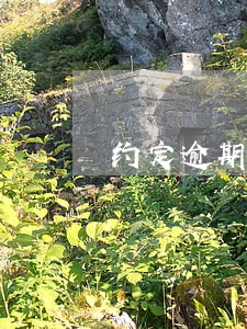 约定逾期利息的执行 约定逾期利息的执行