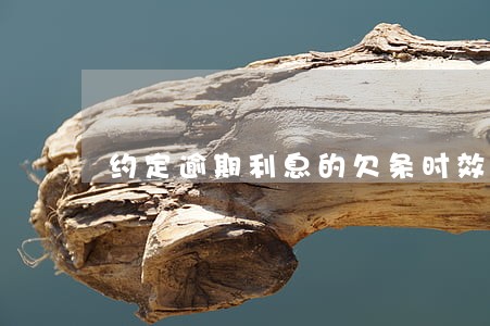 约定逾期利息的欠条时效 约定逾期利息的欠条时效