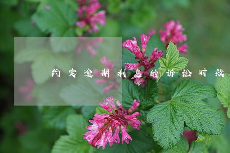 约定逾期利息的诉讼时效 约定逾期利息的诉讼时效