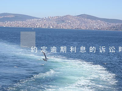 约定逾期利息的诉讼时效规定 约定逾期利息的诉讼时效规定