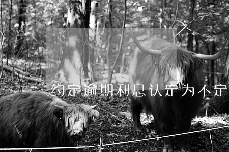 约定逾期利息认定为不定期借款 约定逾期利息认定为不定期借款