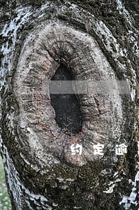 约定逾期利息超过年息36 约定逾期利息超过年息36