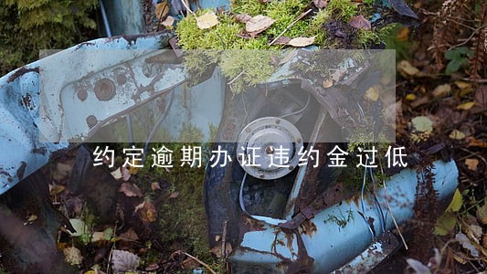 约定逾期办证违约金过低 约定逾期办证违约金过低