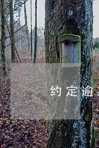 约定逾期支付货款利息合法吗