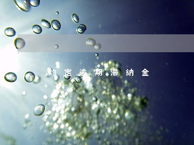 约定逾期滞纳金 约定逾期滞纳金