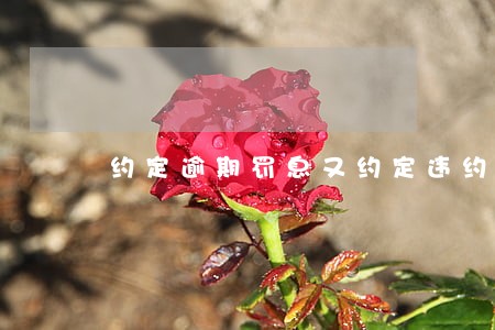 约定逾期罚息又约定违约金 约定逾期罚息又约定违约金