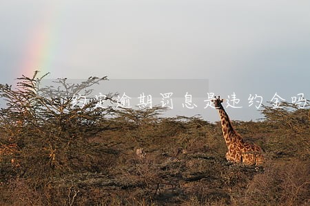约定逾期罚息是违约金吗 约定逾期罚息是违约金吗