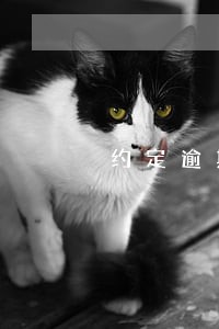 约定逾期腾房违约金 约定逾期腾房违约金